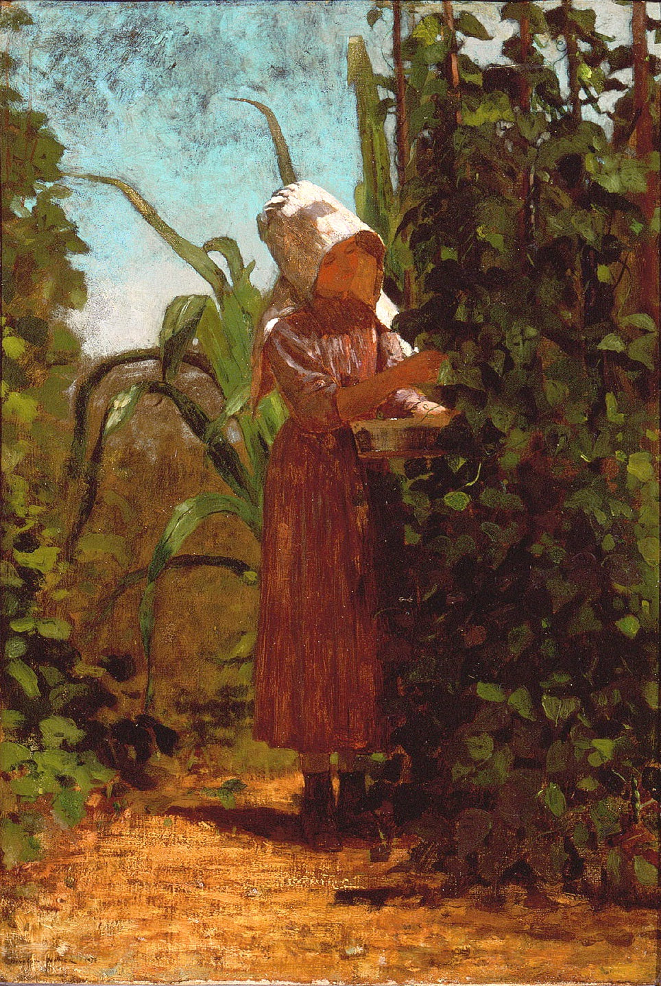Le cueilleur de haricots - Winslow Homer