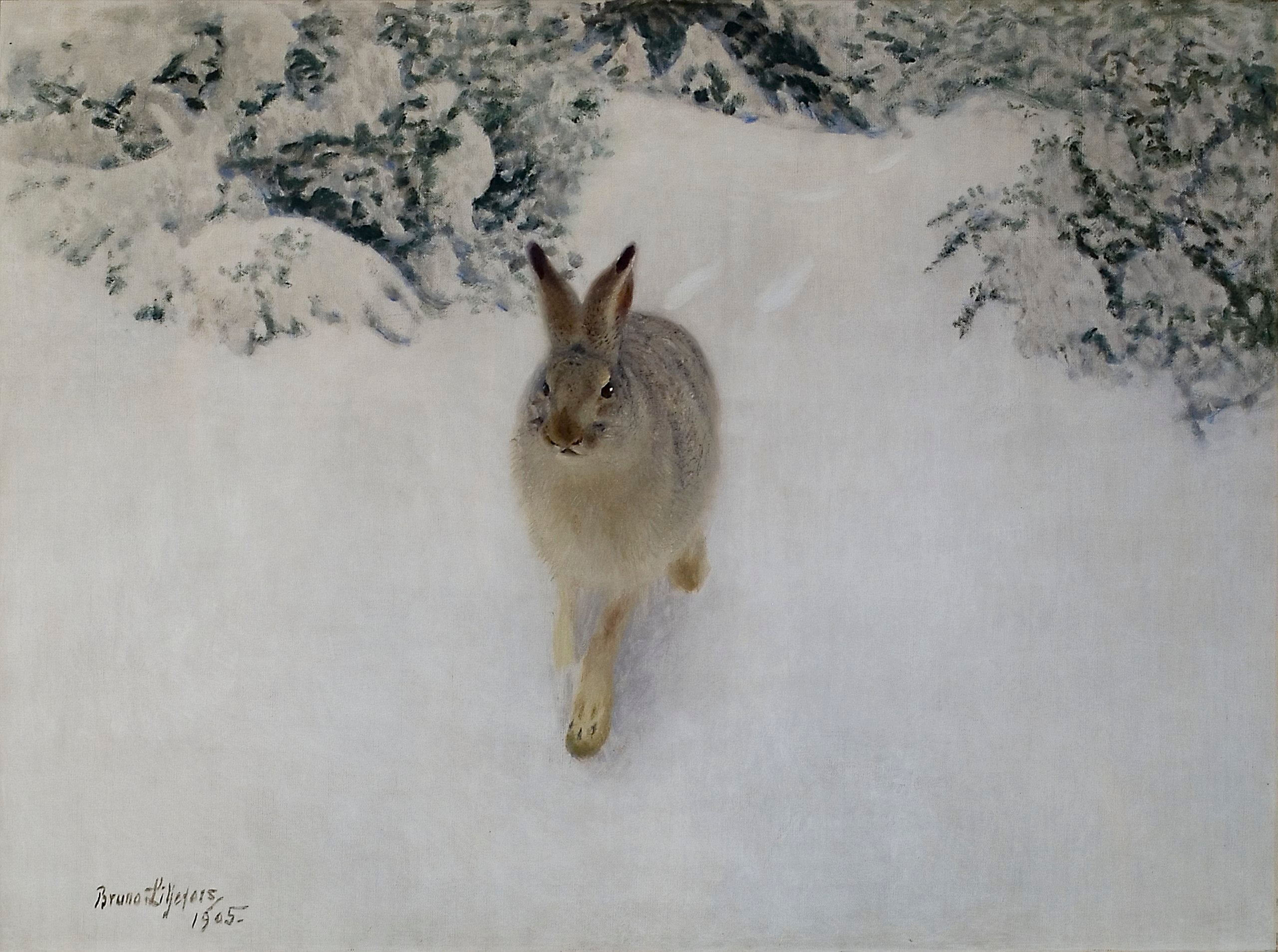 Hase im Winter - Bruno Liljefors