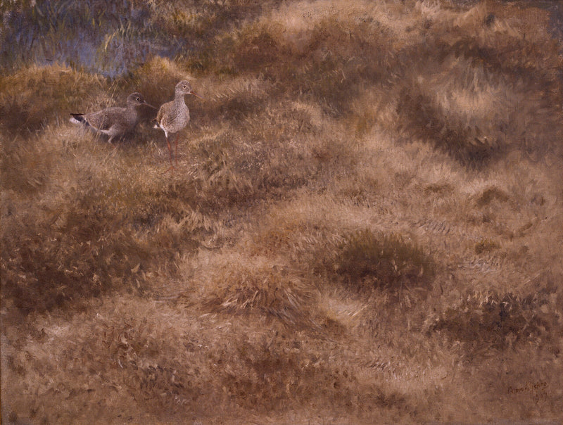 Wiese mit Strandläufern - Bruno Liljefors