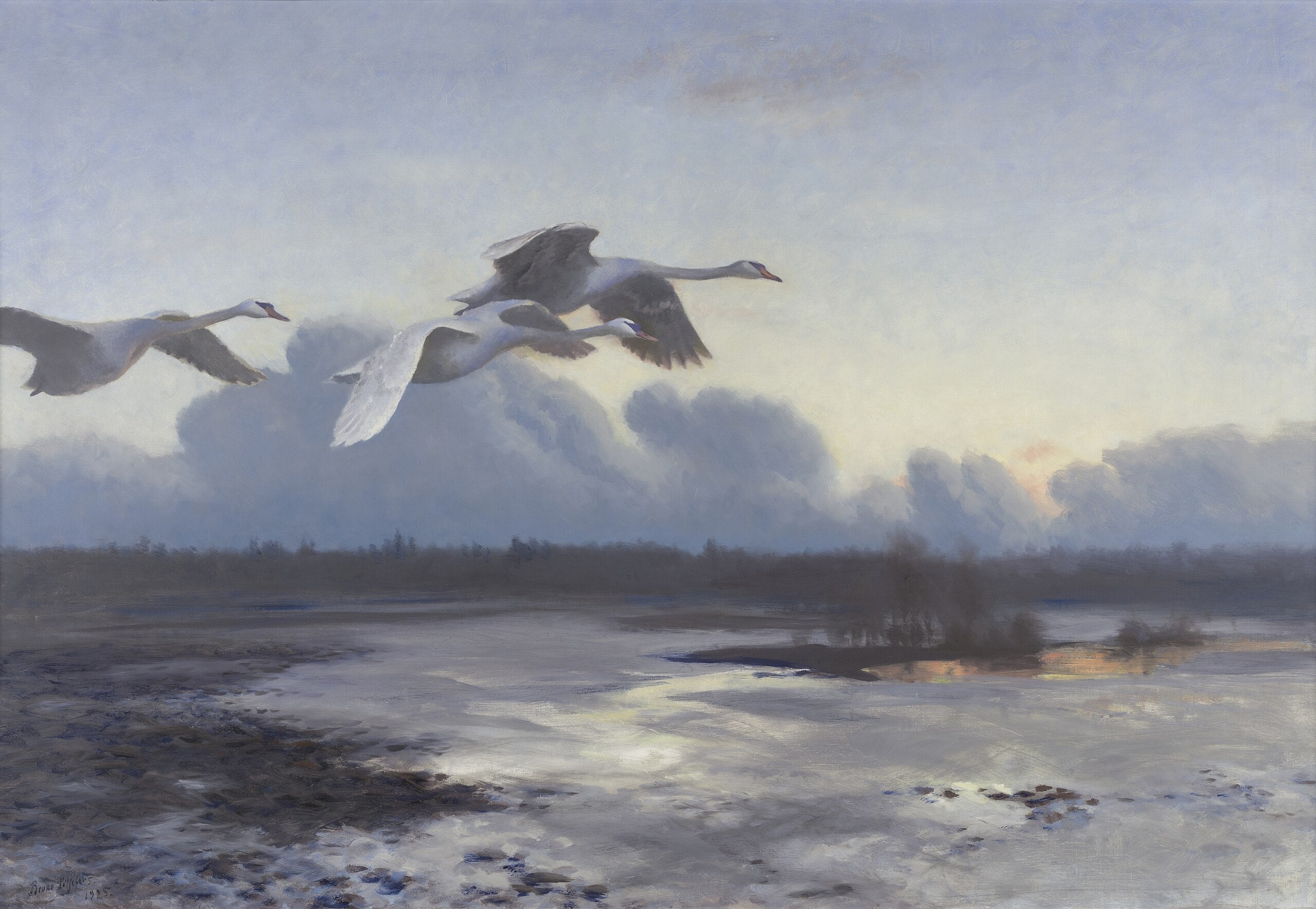 Q43084881 - Bruno Liljefors