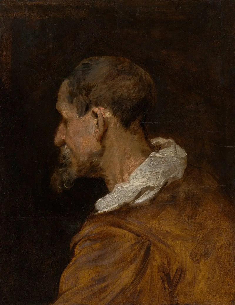 Verantwortlicher der Studie - Antoine van Dyck