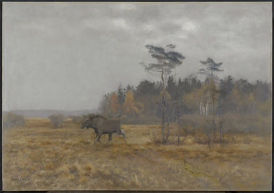 Ein Elch durchquert einen Sumpf in Schweden – Bruno Liljefors