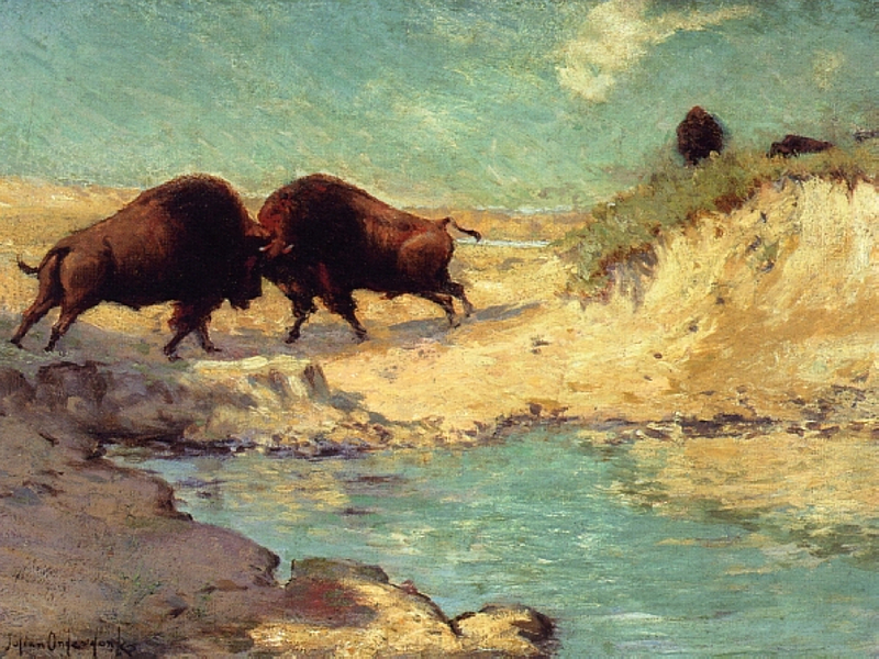 Bisonjagd - Julian Onderdonk