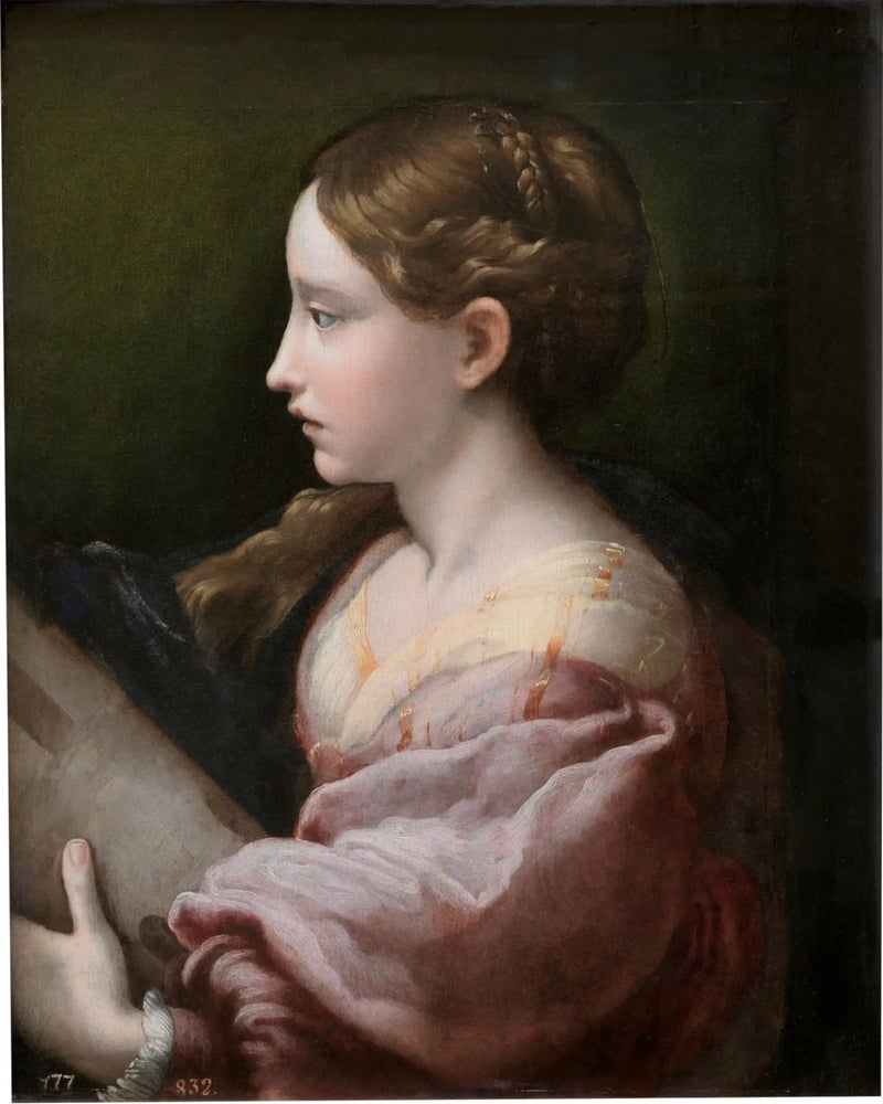 Heilige Barbara - Parmigianino
