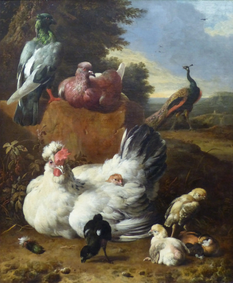 Das weiße Huhn - Melchior de Hondecoeter