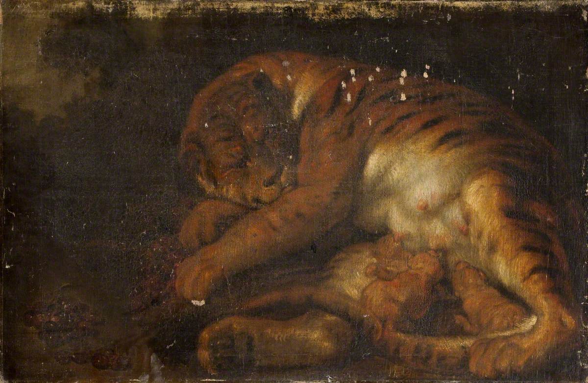 Tigresse et ses petits - Peter Paul Rubens - Alpha Reproduction