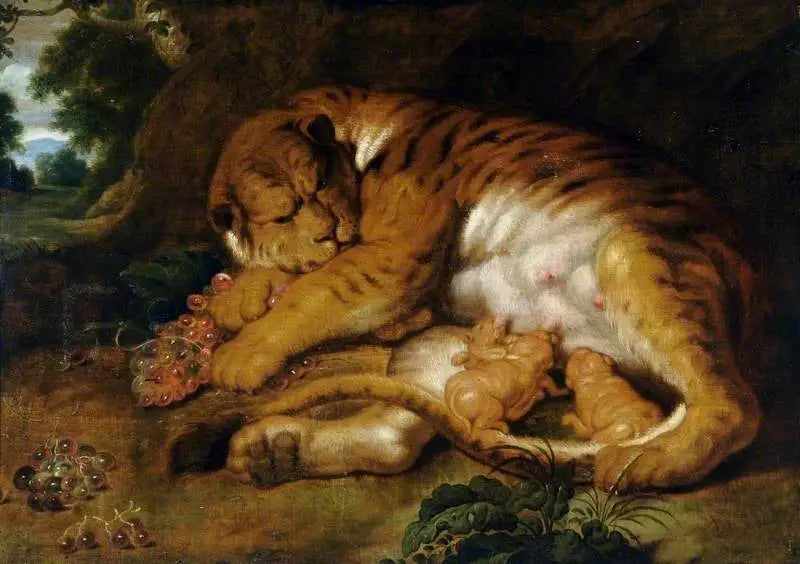 Tigerin mit ihren Jungen - Peter Paul Rubens