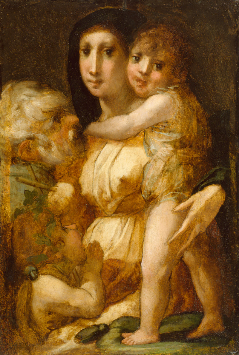 Die Heilige Familie mit dem heiligen Johannes dem Täufer - Rosso Fiorentino