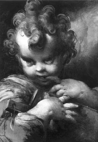 Kind Johannes der Täufer - Parmigianino
