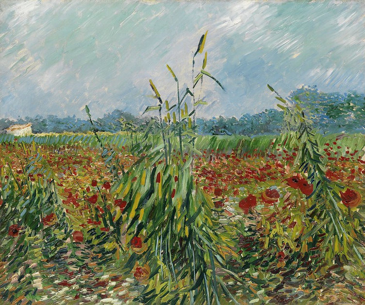 🌾 Grüne Weizenähren – Vincent van Gogh (1888)