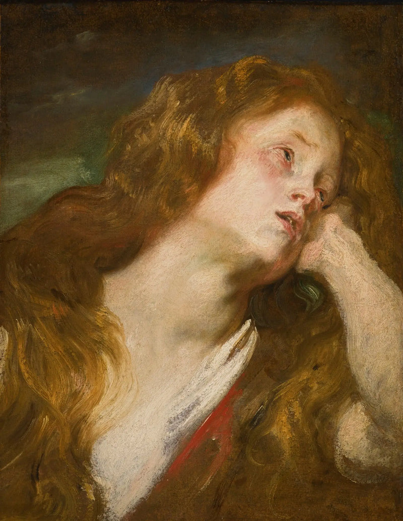 Kopf einer jungen Frau - Antoine van Dyck