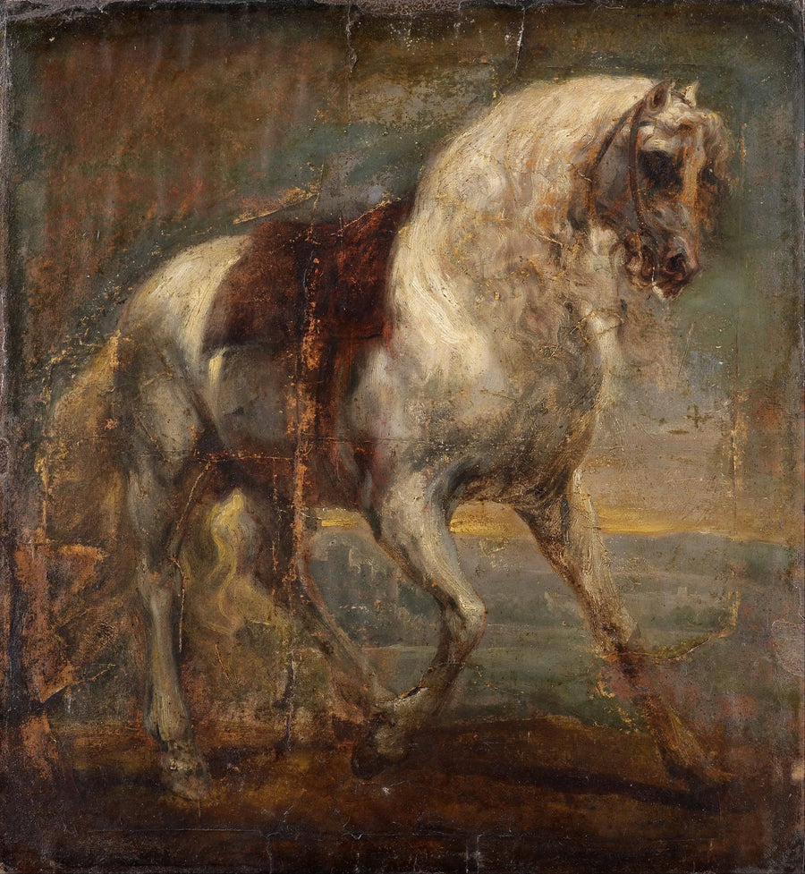 Ein graues Pferd - Antoine van Dyck