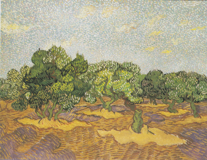 Olivenbäume - Vincent van Gogh