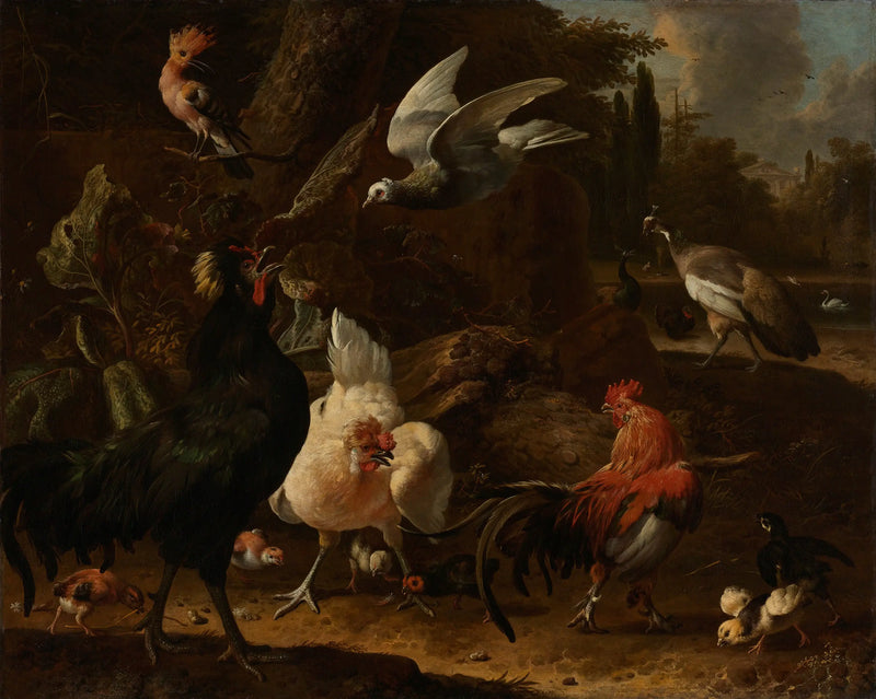 Vögel in einem Park - Melchior de Hondecoeter