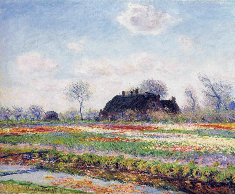 In Sassenheim bei Haarlem, Tulpenfeld - Claude Monet
