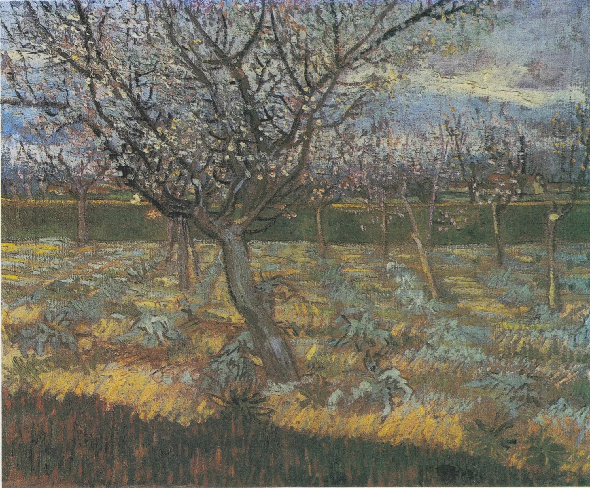 Abricotiers en fleurs - Vincent van Gogh image 1 reproduction de peinture à l’huile