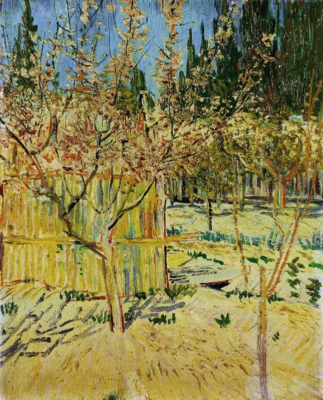 Aprikosenbäume in Blüte - Vincent van Gogh