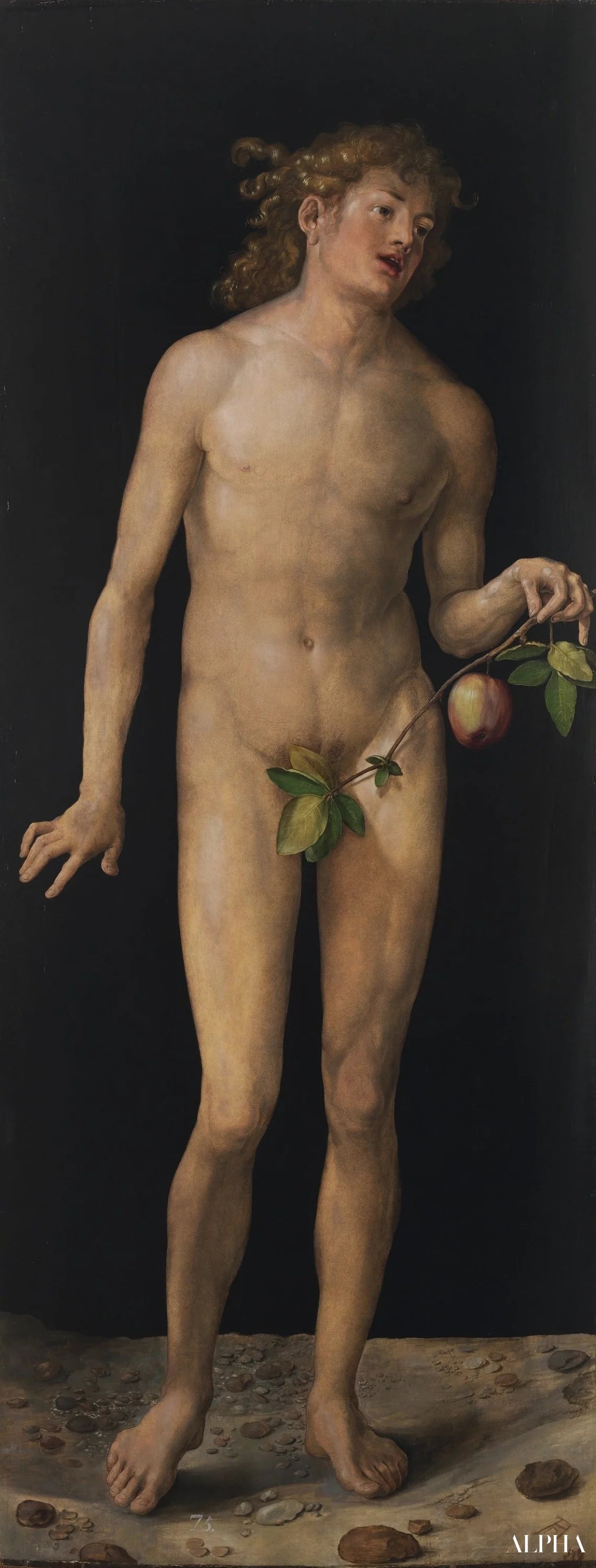 Reproduction du tableau « Adam - Albrecht Dürer » par Alpha Reproduction en peinture à l’huile