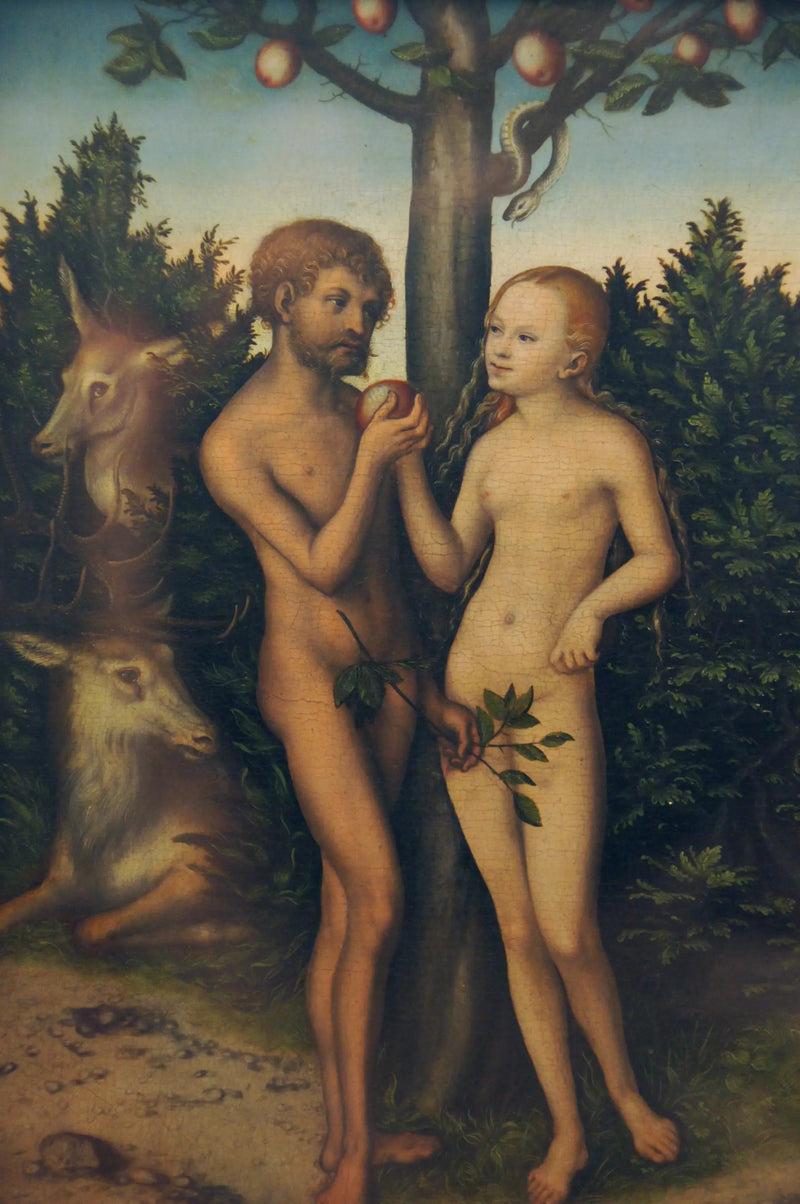 Adam und Eva - Lucas Cranach der Ältere