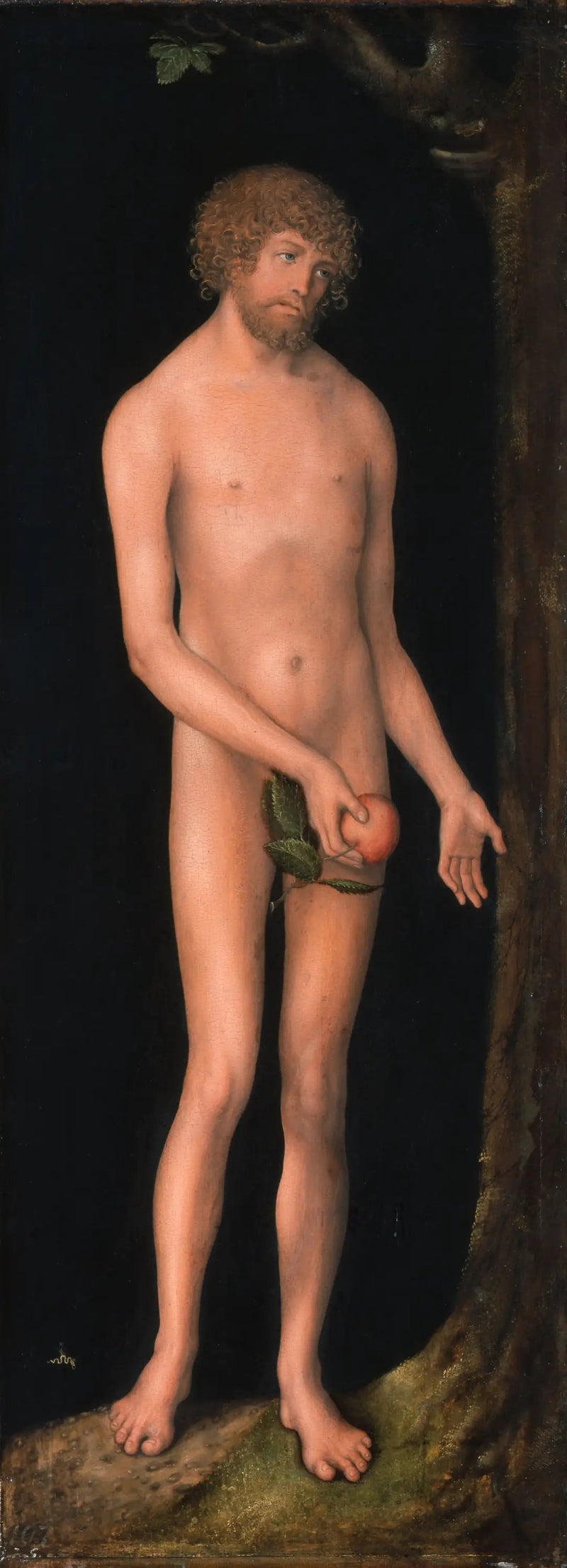 Adam - Lucas Cranach der Ältere
