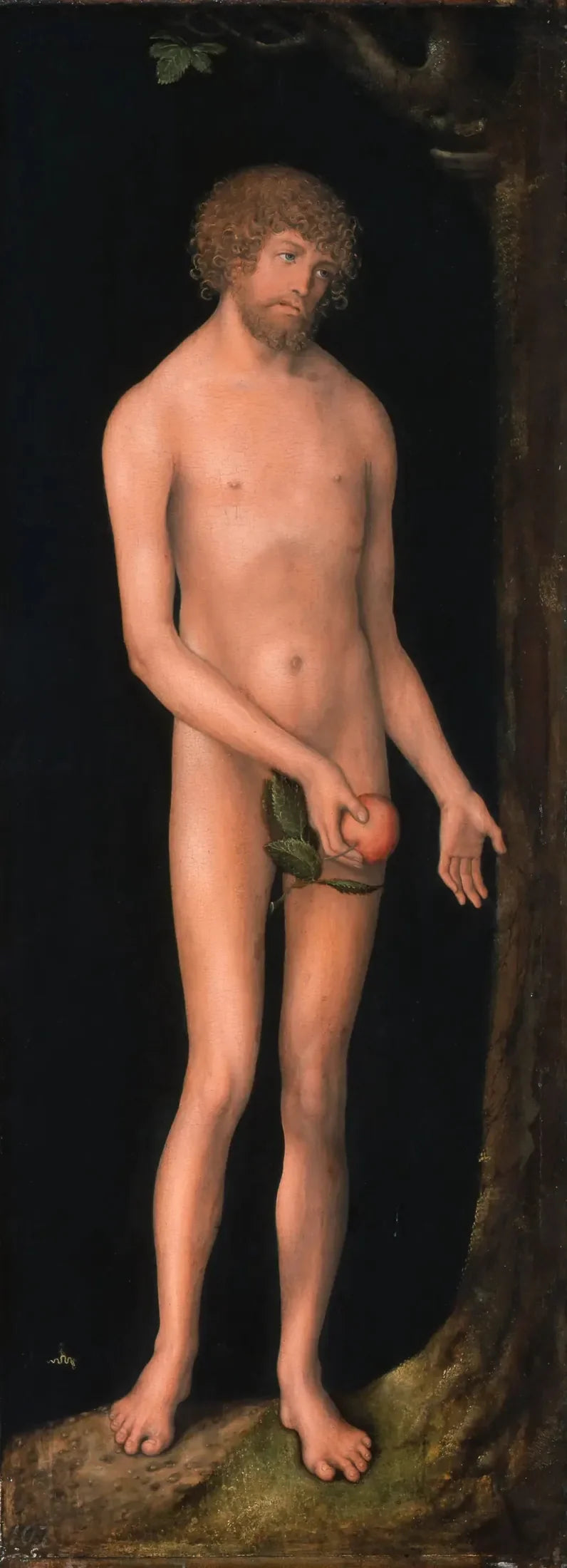 Adam - Lucas Cranach der Ältere