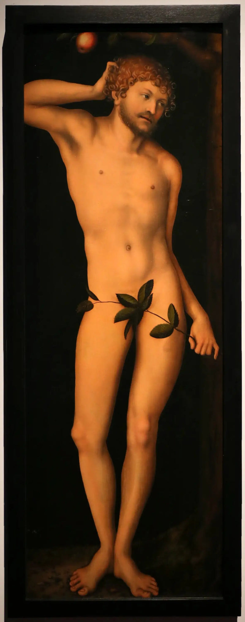 Adam - Lucas Cranach der Ältere