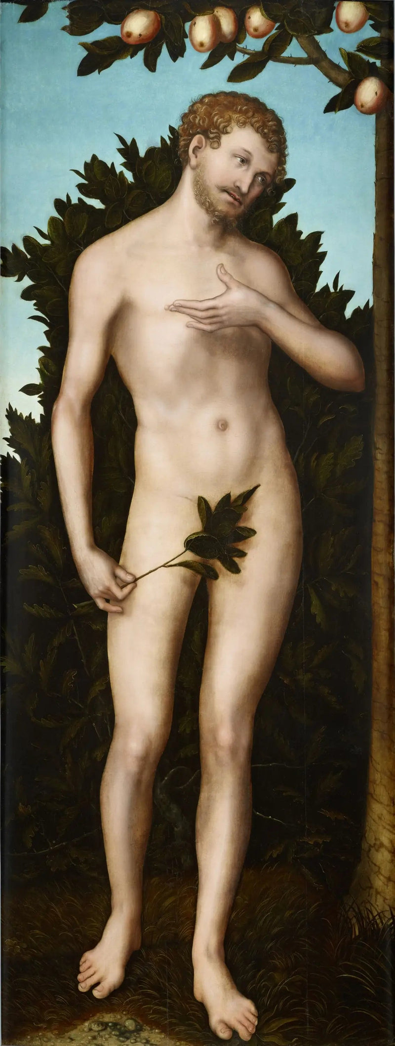 Adam - Lucas Cranach der Ältere
