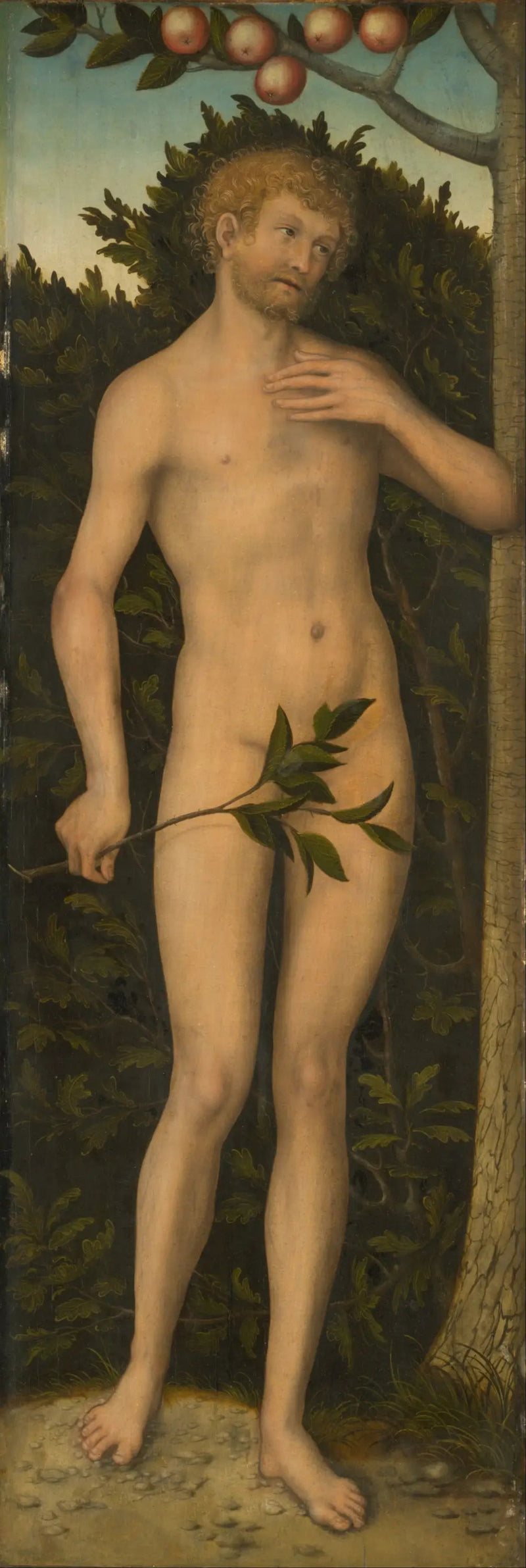 Adam - Lucas Cranach der Ältere