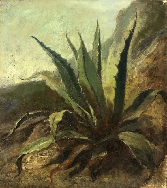 Agave in Marokko - Eugène Delacroix