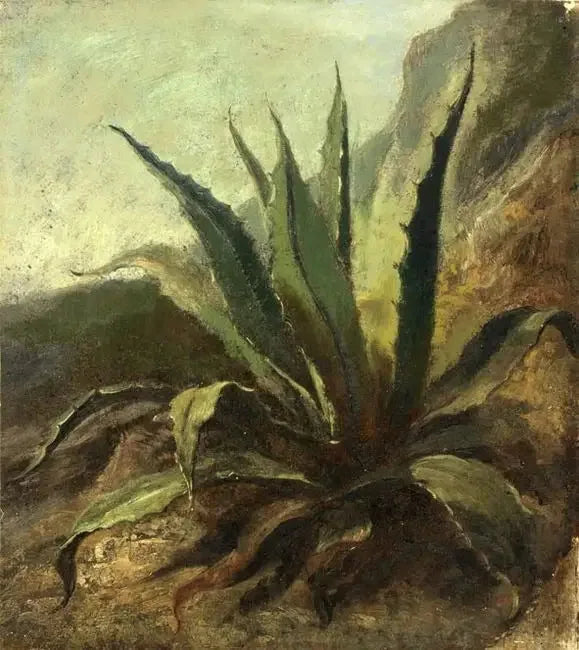 Agave in Marokko - Eugène Delacroix