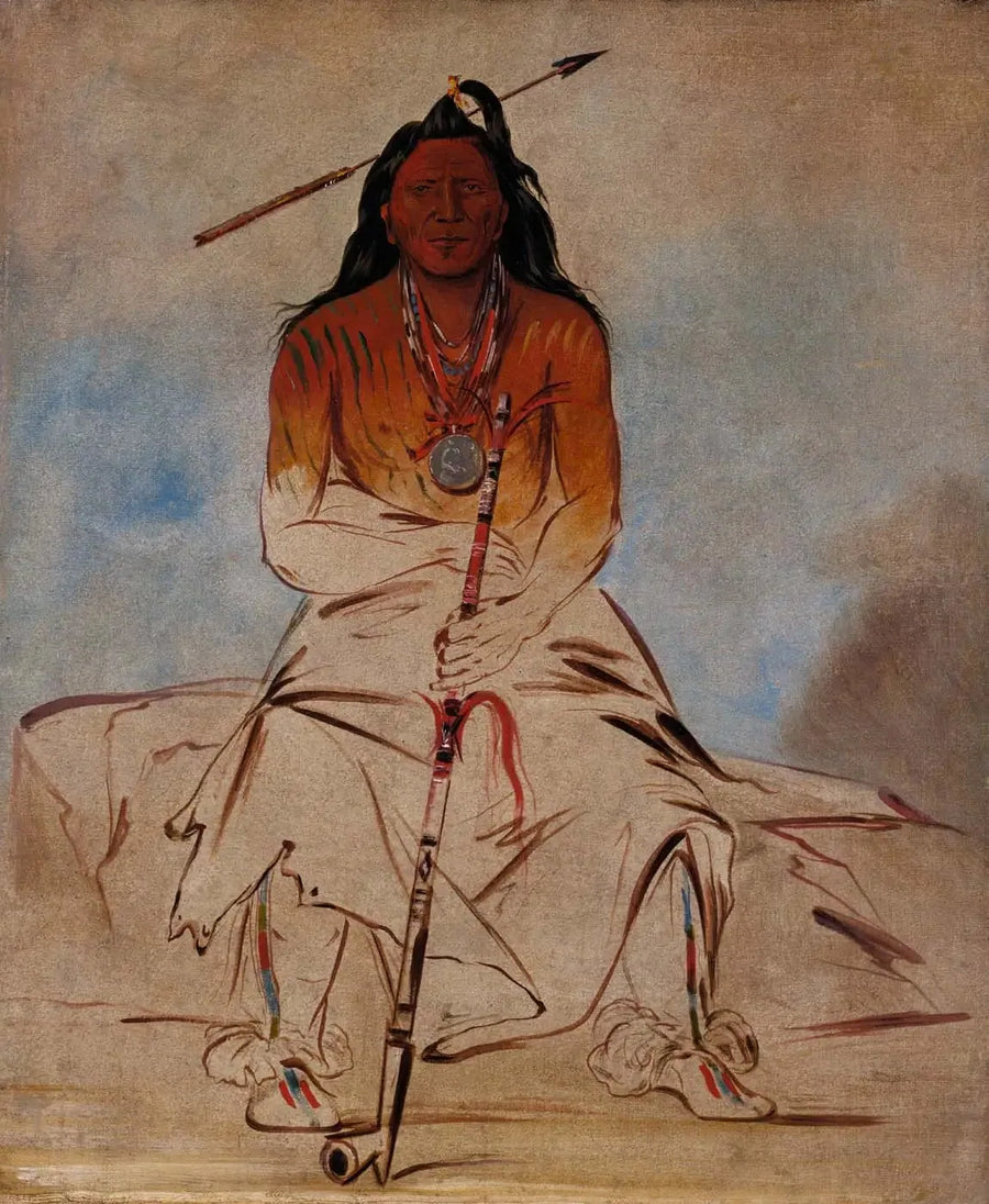 Ah-sháw-wah-róoks-te, Medizinpferd, ein Großer tapferer Pawnee - George Catlin