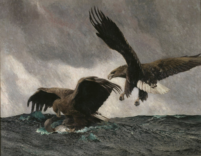 Seeadler - Bruno Liljefors