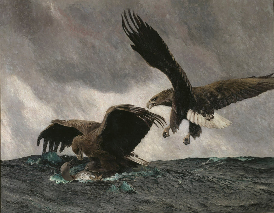 Seeadler - Bruno Liljefors