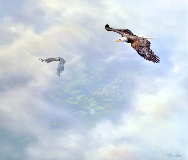 Adler im Flug | 200 x 170 cm