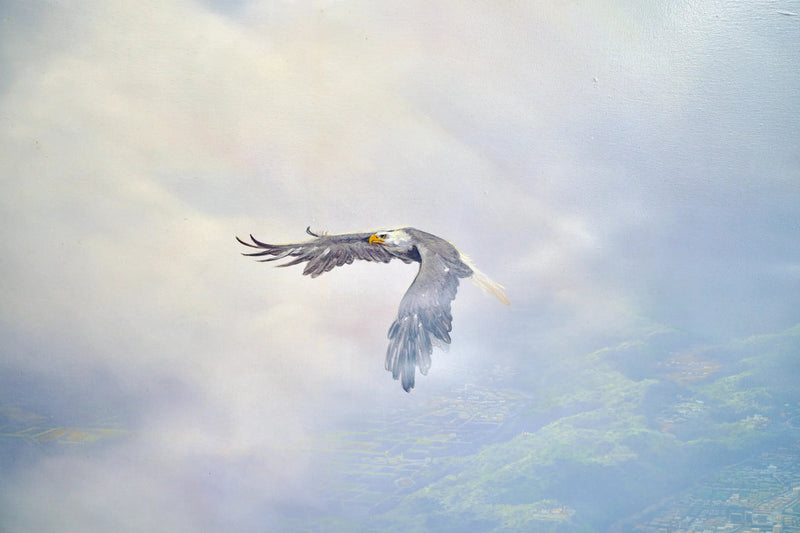 Adler im Flug | 200 x 170 cm