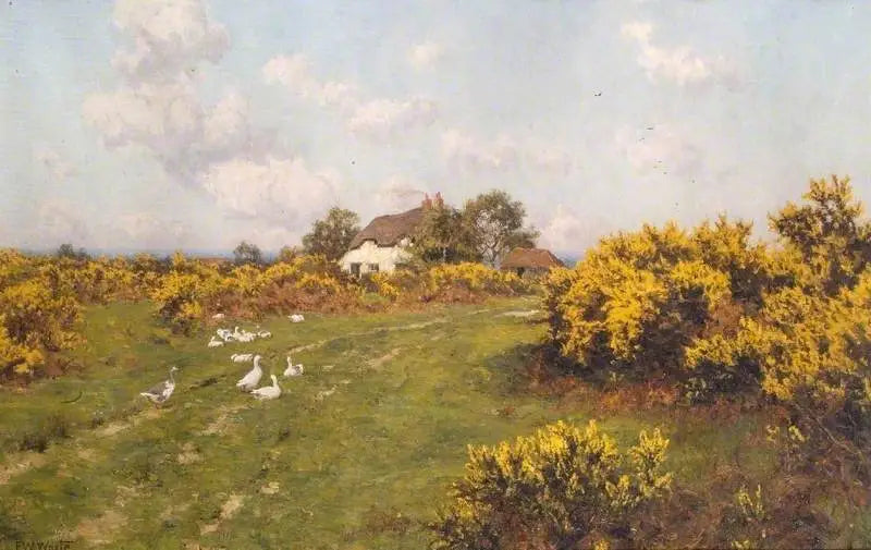 Ajoncs sur un terrain communal du Berkshire (Bucklebury Common) - Edward Wilkins Waite image 1 reproduction artisanale de tableau