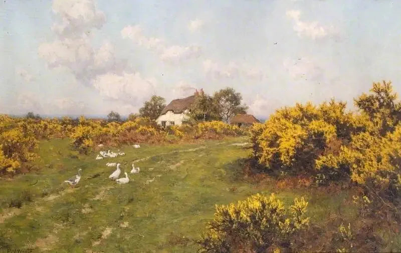 Ajoncs auf einem kommunalen Grundstück im Berkshire (Bucklebury Common) - Edward Wilkins Waite