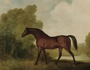 Ambrosio, un brauner Hengst, propriété de Thomas Haworth - George Stubbs