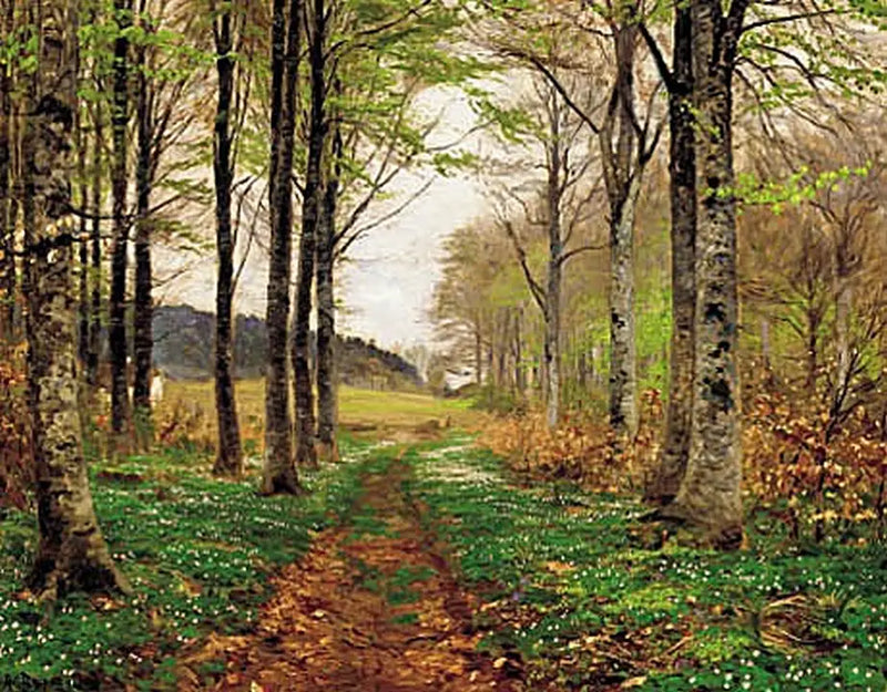 Anemonen in einem Wald im Frühling. - H. A. Brendekilde