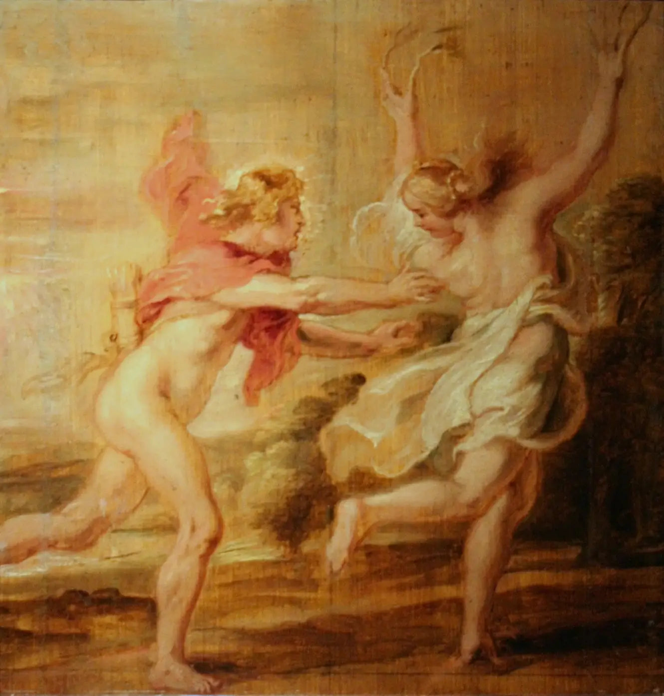Apollon et Daphné - Peter Paul Rubens image 1 copie peinte à la main à l’huile