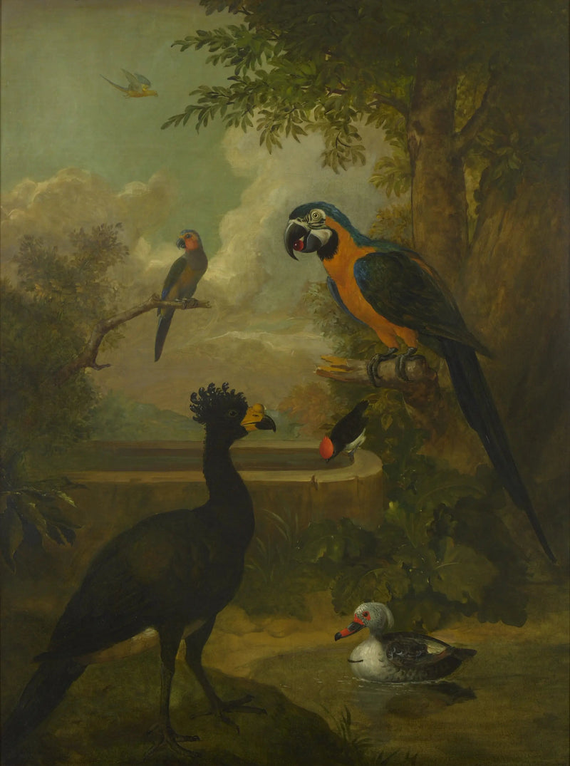 Ara und andere Vögel in einer Landschaft - Tobias Stranover