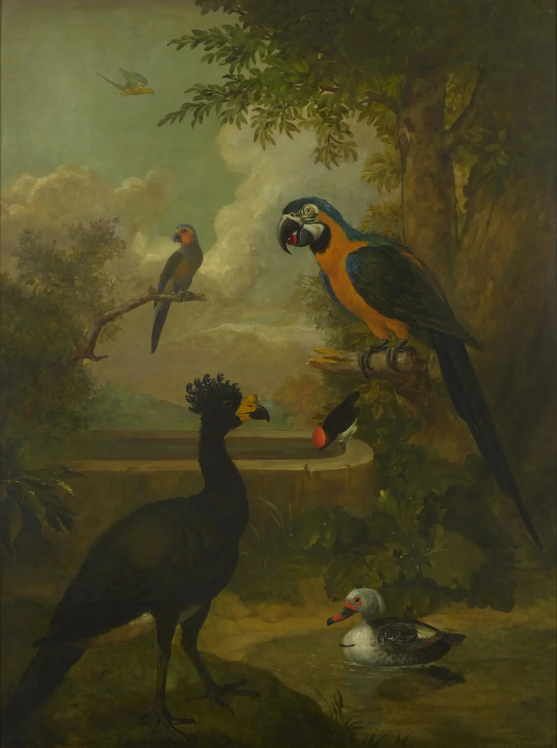 Ara und andere Vögel in einer Landschaft - Tobias Stranover