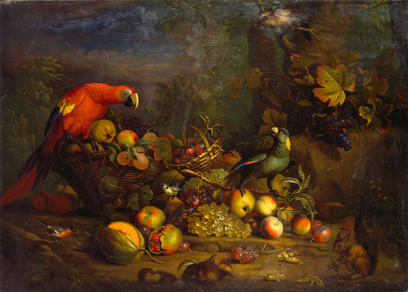 Ara rot, Amazone mit gelbem Nacken, Pfirsichschnabel, Blaumeise, Eichelhäher und Roters Eichhörnchen mit Früchten - Tobias Stranover