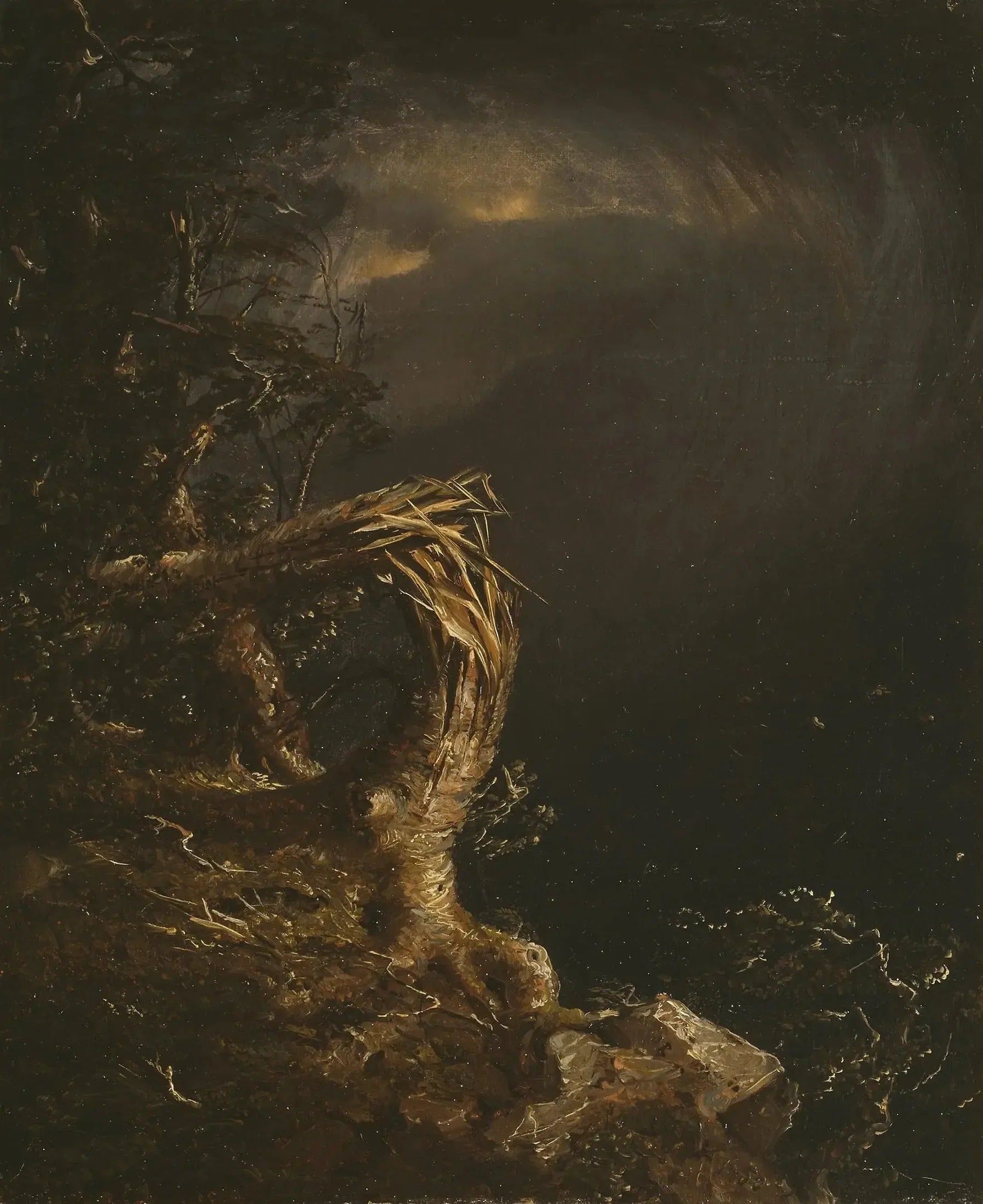 Arbre foudroyé - Jasper Francis Cropsey image 1 copie peinte à la main à l’huile