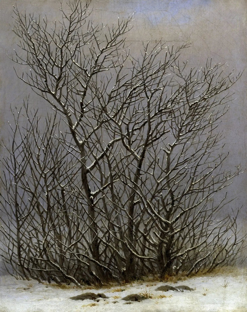 Bäume und Sträucher im Schnee - Caspar David Friedrich