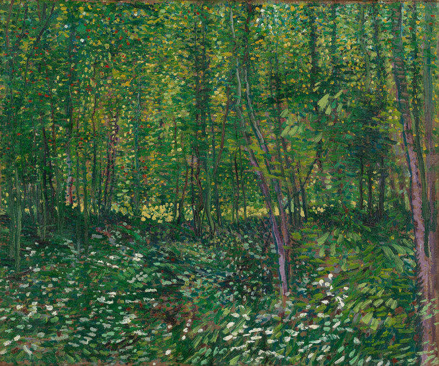 Bäume und Unterholz - Vincent van Gogh