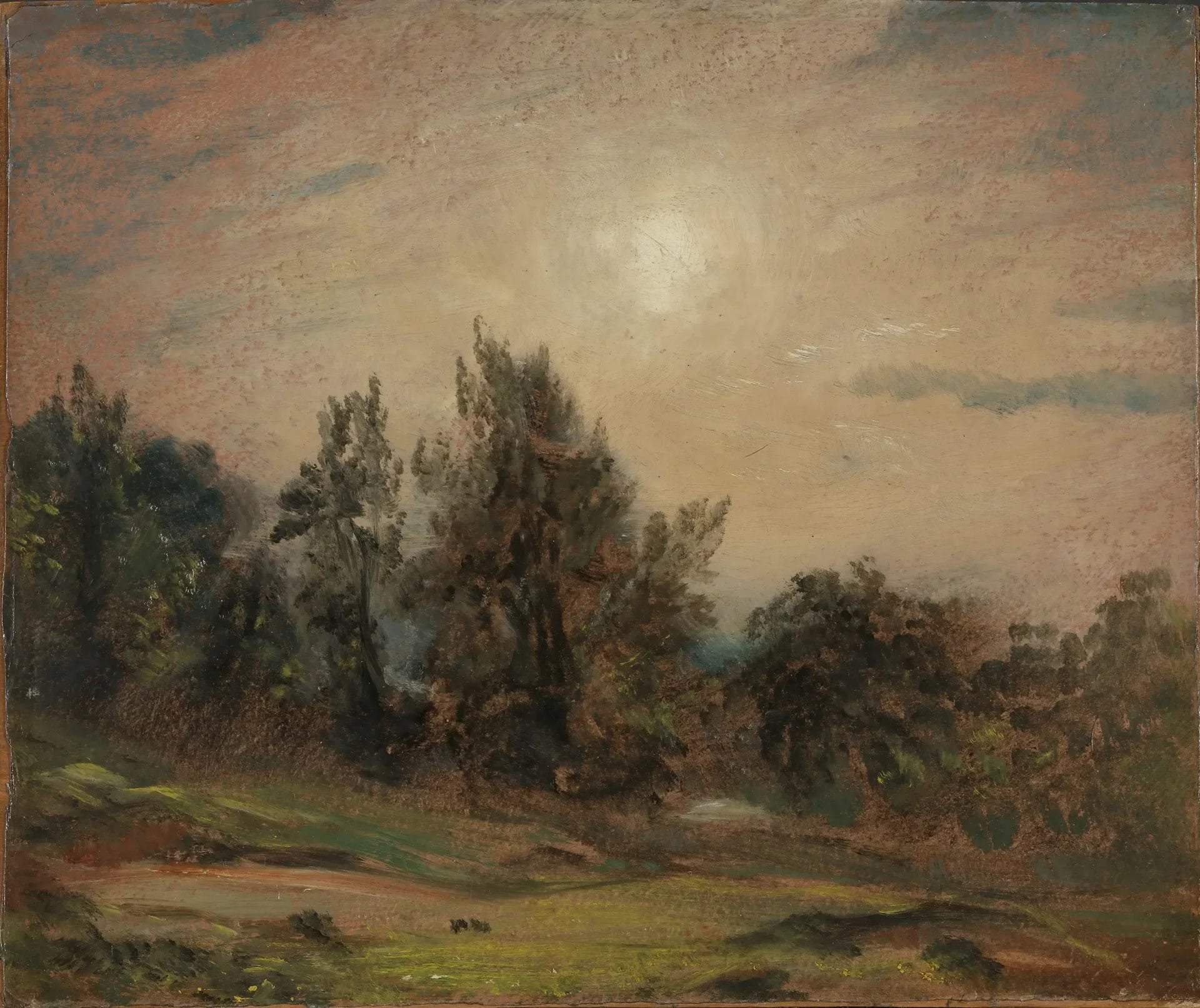 Arbres sur Hampstead Heath - John Constable image 1 reproduction artisanale de tableau
