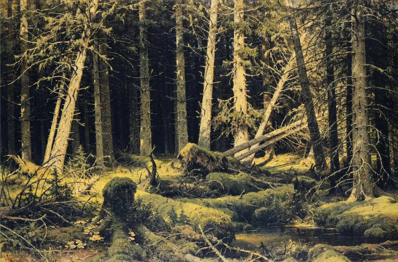 Bäume, die vom Wind umgestürzt wurden - Ivan Chichkine