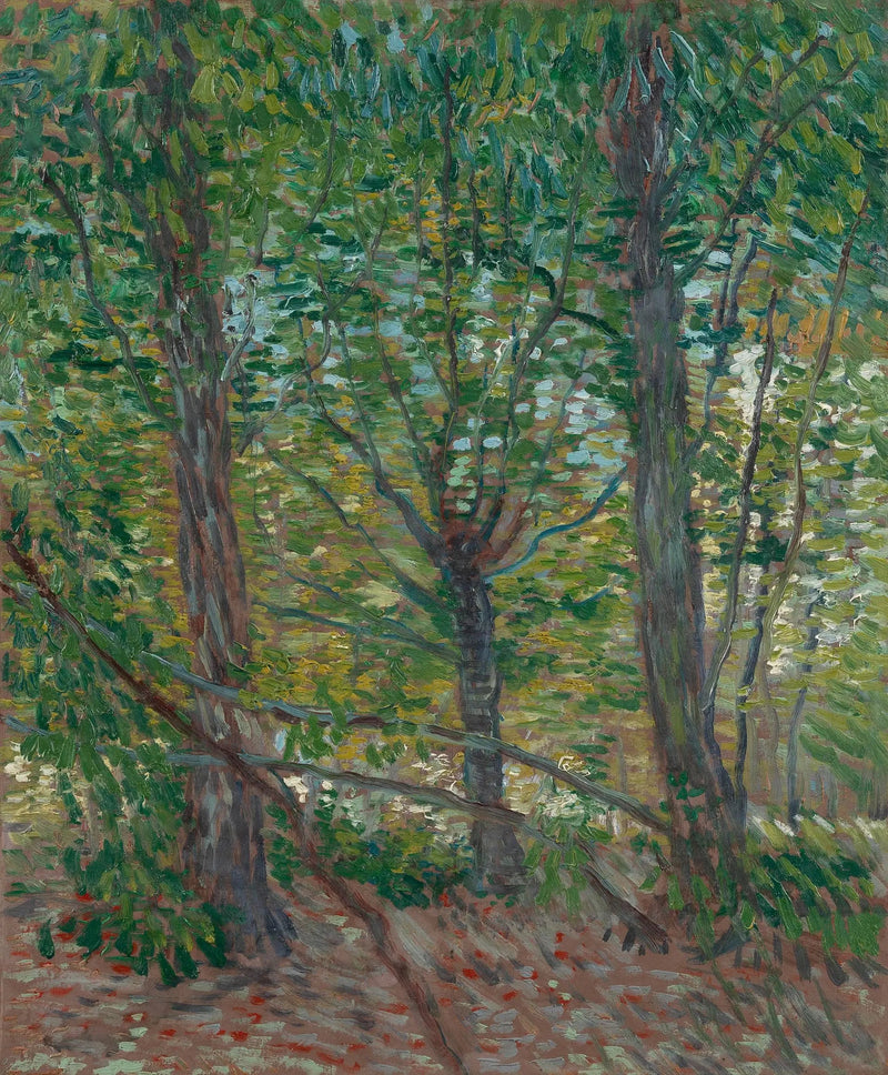 Bäume - Vincent van Gogh