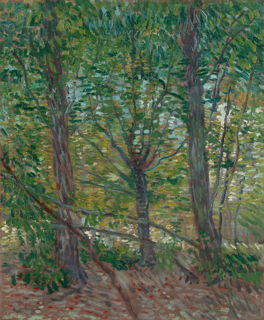 Bäume - Vincent van Gogh